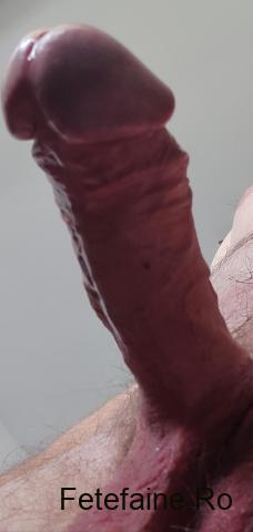 Gigolo discret  Constanța