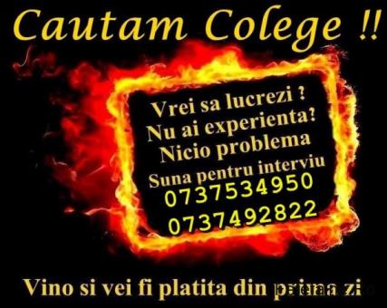 Angajam Fete  Cautam Colege